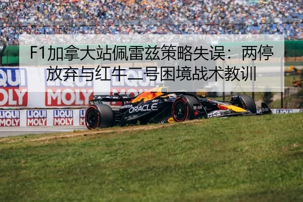 jia-na-da-zhan-pei-lei-zi-ce-lve-shi-wu-liang-ting-fang-qi-yu-hong-niu-er-hao-kun-jing-zhan-shu-jiao-xun-2-454.jpg